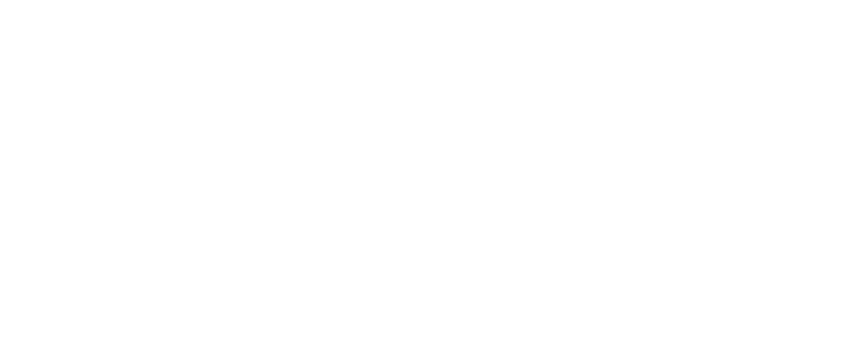 white steelway wordmark 30th anniversary